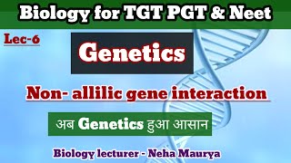 Non Allilic gene interaction ।ComplementarySupplementaryampCollaborative gene ।polygenic inheritance [upl. by Terriss139]