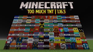 Minecraft Too Much TNT Mod  1165 100 TNTs [upl. by Notxarb]