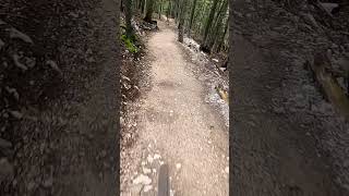 Roller gap in the BikeAll track in Metabief bikepark mtb downhill mtbpark [upl. by Bevon]