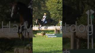 Did you notice the significant changes to the Bicton water complex equestrian eventing [upl. by Descombes700]