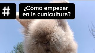 Cómo iniciar en la cunicultura 🤠🐰🇲🇽🐇 [upl. by Kailey]