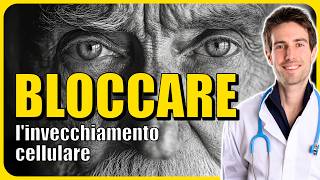 Il MECCANISMO per fermare lINVECCHIAMENTO con Prof Marco Demaria [upl. by Aretha]