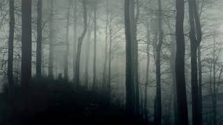 Dark Ambience  Horror Background Music 10 Hours [upl. by Annabela]