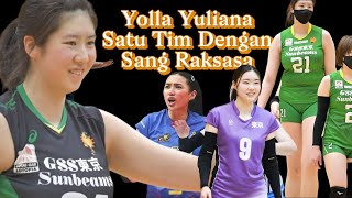 Mengenal Rekan Satu Tim Yolla Yuliana di Tokyo Sunbeams [upl. by Hanselka]