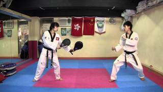 【Taekwondo】Combo Kicks Turning Kicks Single Kicks [upl. by Oivalf]