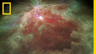 Fly Through a StarStudded Nebula In a New 3D Visualization  National Geographic [upl. by Shaylah]