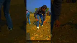 Onion transplantationhorticulture olericulture trendingshorts viralvideo [upl. by Storfer]