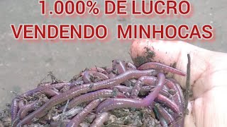 1000 DE LUCRO VENDENDO MINHOCAS E HÚMUS  COMO FAZER [upl. by Coleville]