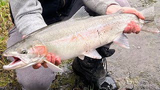 Winter Steelhead High Water Fishing Clackamas amp Sandy River Bobber doggin Beads and Worms [upl. by Sirrah]