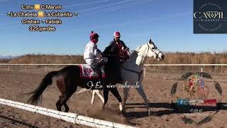 Carreras de caballos en vivo Colorado carril Diamante 012824 [upl. by Neile621]