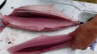 How to cark or fillet albacore tuna [upl. by Aicener]