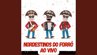 Boiadeiro  NORDESTINOS DO FORRÓ [upl. by Lucienne]