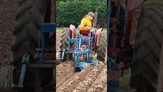 McCormick International B275 at the North Nottinghamshire Ploughing Training Day 10th February 2024 [upl. by Hennebery]