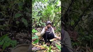 kegiatan di kebun minivlog adventure vlogadayinmylife [upl. by Allan]