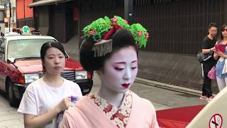 Maiko and her apprentice in Gion Kyoto Japan [upl. by Calandria]