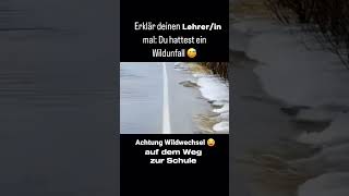 Erklärt es eurem Lehrer 🧐🤣 LAMI SussyEmily shortsyoutube shortvideo [upl. by Elram]