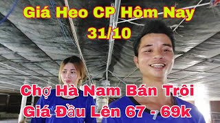 Chia Sẻ Cách Cho Heo Con Đi Vệ Sinh Đúng Chỗnongtraihoakieu [upl. by Aarika]