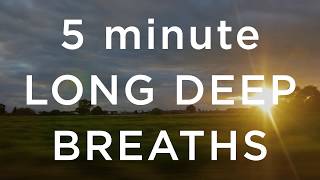 5 Minute Long Deep Breaths [upl. by Uase]