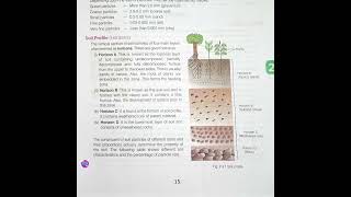 To study the texture of soil samplespracticaleducation [upl. by Willett]