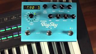 Strymon BigSky  Reverb Effects Pedal [upl. by Siraved241]