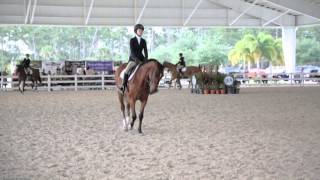 2015 IEA Nationals  Varsity Flat Open Individual  FINALS  3RD PLACE [upl. by Cirda]