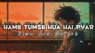 Hame Tumse Hua Hai Pyar Lofi Song Akshay Kumar Slow And Reverb Song lofisong [upl. by Herring]