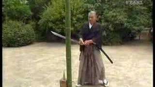 Great tameshigiri by Ueki sensei  Legendary Budo Masters [upl. by Enom]