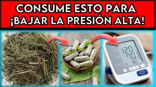 La HIERBA 1 para BAJAR la PRESIÓN ALTA  ¡REDUCE un 50 la PRESIÓN de forma NATURAL [upl. by Dnomsad]