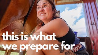 This is what we prepare for Homesteading after the Hurricane  VLOG [upl. by Fernas]