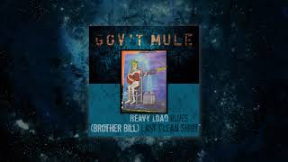 Govt Mule  Brother Bill Last Clean Shirt Visualizer Video [upl. by Enyahc]