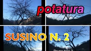 POTATURA SUSINO N 2 [upl. by Kurth833]