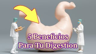 Harvard y Los 5 Beneficios Para Tu Digestion ¿Por que muchos las estan tomando [upl. by Akselav413]