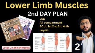 Lower Limb Muscles Anatomy Leg amp Sole Compartments  Complete HNML Lower Limb Guide  Final Part 2 [upl. by Nageek]