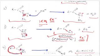 L2 Amines OC BSc II Sem 4 [upl. by Ailegra]