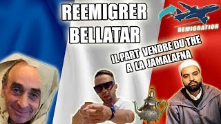 Zemmour  Sauver la France parodie [upl. by Mersey]