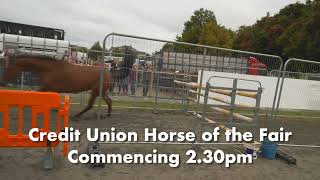 Ballinasloe October Fair 2023  Horse Competitions [upl. by Kelli]