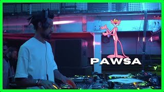 PAWSA  The Groovy Cat Edit [upl. by Tena]