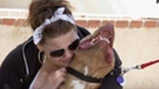 Pit Bull and Owner Reunited  Pit Bulls amp Parolees [upl. by Ayres854]