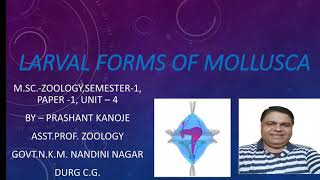 Larval Forms of Mollusca ।। By  Prashant Kanoje [upl. by Wrennie]