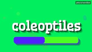 COLEOPTILES  HOW TO PRONOUNCE IT [upl. by Sackville]