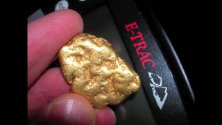 GOLD FEVER Massive nuggets [upl. by Constant]