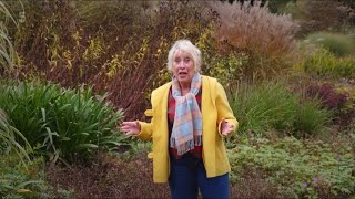 Great British Gardens  Bressingham  Carol Klein [upl. by Ginni985]