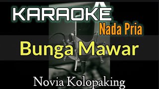 KARAOKE  BUNGA MAWAR  NOVIA KOLOPAKING Nada Pria [upl. by Omor]