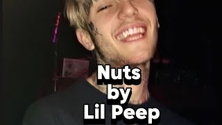 Nuts  Lil Peep lyrics video [upl. by Drofub]