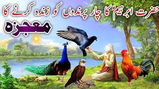 Hazrat Ibrahim as aur Murda Parindon Ko Zinda Karne Ka Waqiya l anmol Stories [upl. by Sonnnie853]