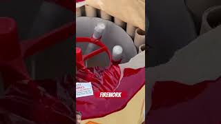 Firework fireworks christmas pyrotechnics funny 4thofjuly shorts trending viralvideo [upl. by Leah541]