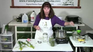 Making Golden Rod Glycerin Tincture [upl. by Brottman905]