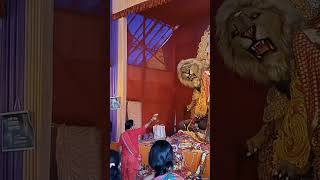 ENTALLY PADMAPUKUR JAGADDHATRI PUJA 2024 CLIP 12 [upl. by Notselrahc]