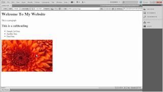 9  Introduction To Dreamweaver Tutorial CS5 [upl. by Ezra957]