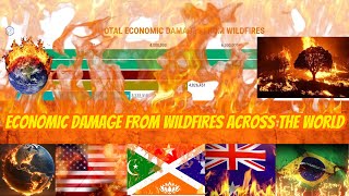 Economic Damage from Wildfires Worldwide 19102020  DecadebyDecade Analysis [upl. by Malik]